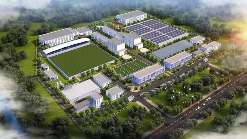 表面活性剂生物降解性评价：方法与标准解析